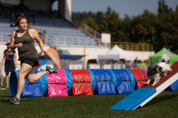 Jméno fotky: fotka 348 / 400