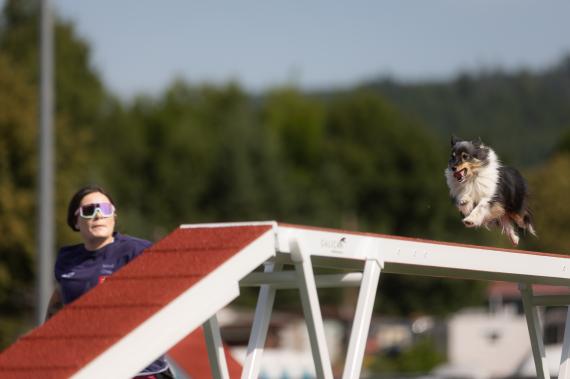 Jméno fotky: fotka 349 / 400