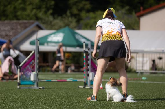 Jméno fotky: fotka 350 / 400