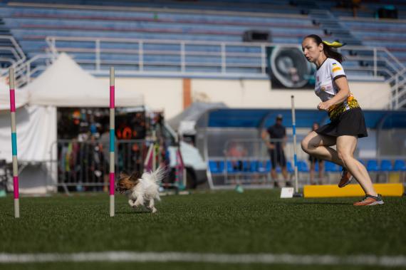 Jméno fotky: fotka 351 / 400