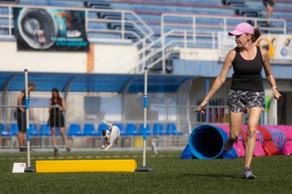 Jméno fotky: fotka 353 / 400