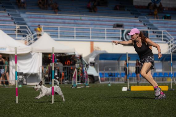 Jméno fotky: fotka 354 / 400