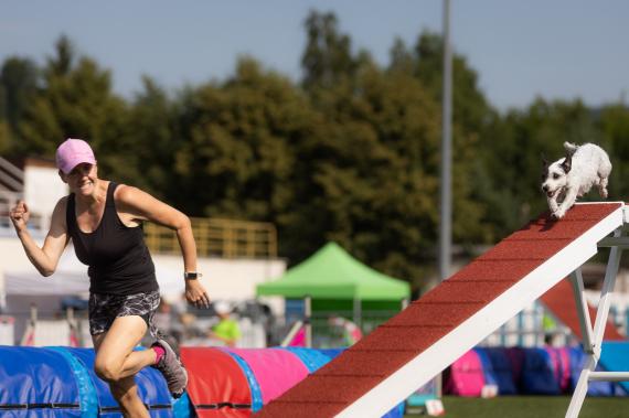 Jméno fotky: fotka 355 / 400