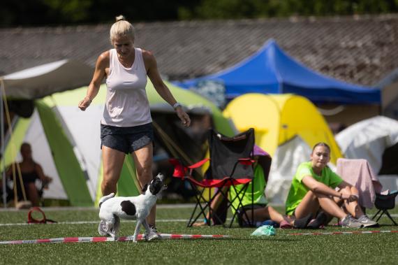 Jméno fotky: fotka 356 / 400