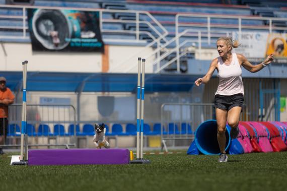 Jméno fotky: fotka 358 / 400