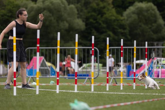 Jméno fotky: fotka 361 / 400