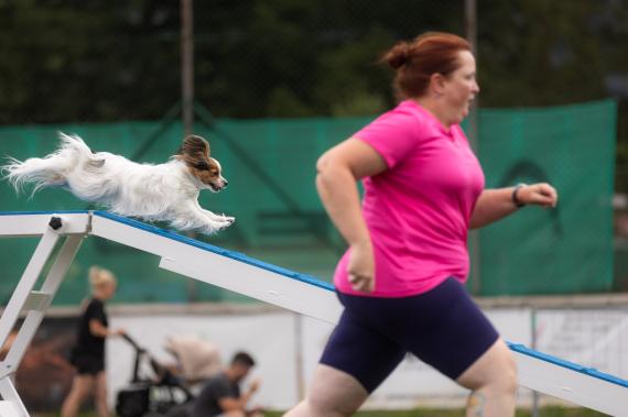 Jméno fotky: fotka 362 / 400