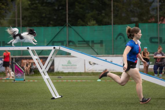 Jméno fotky: fotka 364 / 400