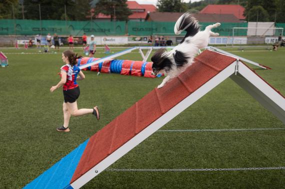 Jméno fotky: fotka 365 / 400