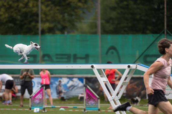 Jméno fotky: fotka 368 / 400