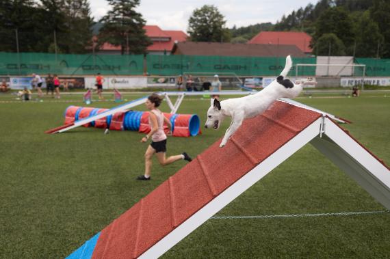 Jméno fotky: fotka 369 / 400