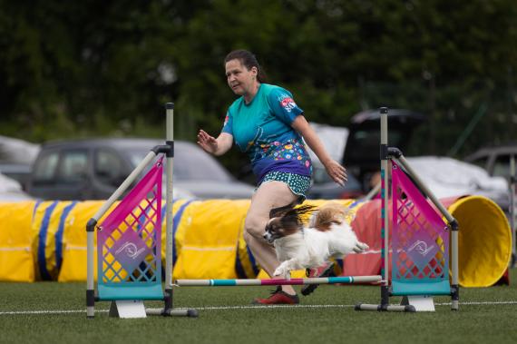 Jméno fotky: fotka 370 / 400