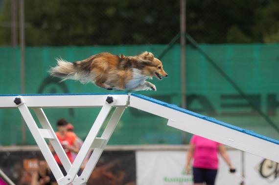 Jméno fotky: fotka 372 / 400