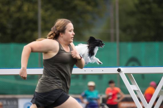 Jméno fotky: fotka 373 / 400