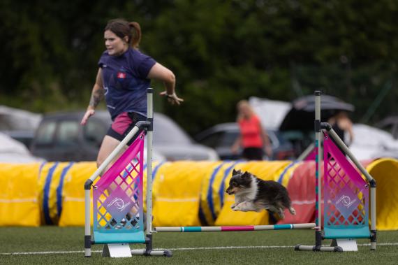 Jméno fotky: fotka 374 / 400