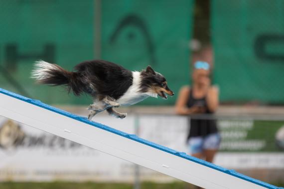 Jméno fotky: fotka 375 / 400