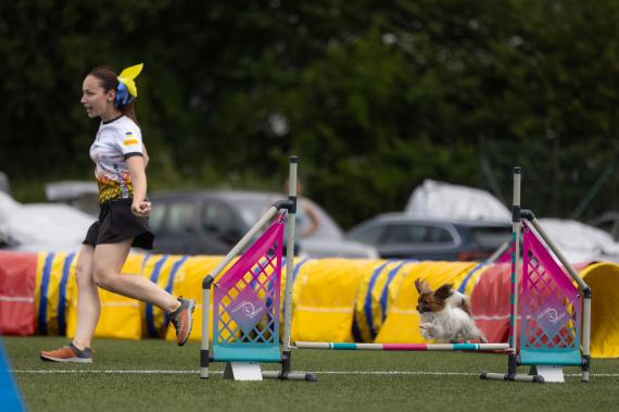 Jméno fotky: fotka 376 / 400