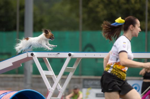 Jméno fotky: fotka 377 / 400