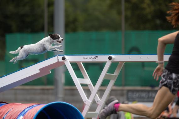 Jméno fotky: fotka 378 / 400