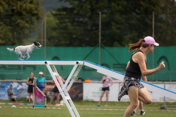 Jméno fotky: fotka 379 / 400