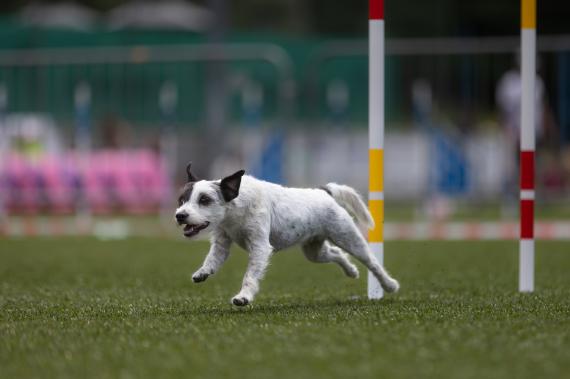 Jméno fotky: fotka 380 / 400