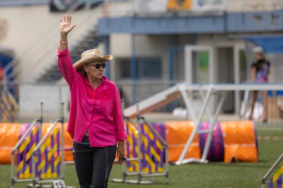 Jméno fotky: fotka 381 / 400