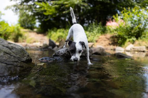 Jméno fotky: fotka 382 / 400