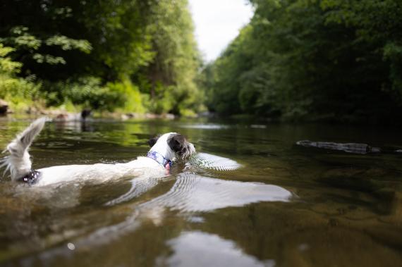 Jméno fotky: fotka 383 / 400