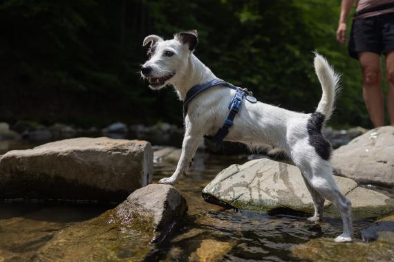 Jméno fotky: fotka 384 / 400