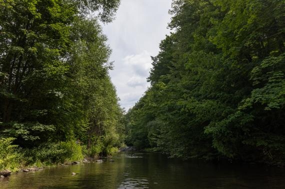 Jméno fotky: fotka 385 / 400