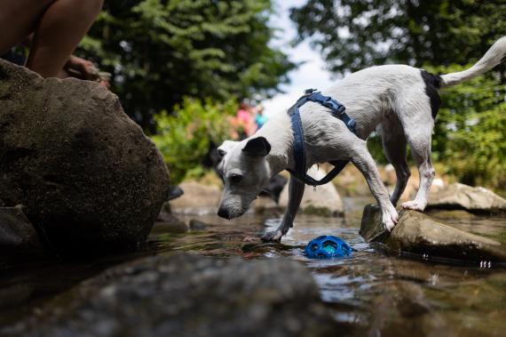 Jméno fotky: fotka 386 / 400