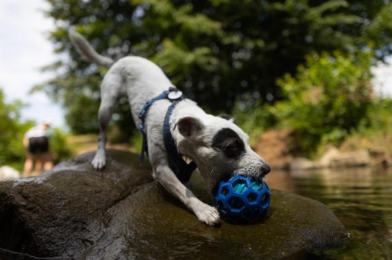 Jméno fotky: fotka 387 / 400