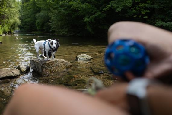 Jméno fotky: fotka 388 / 400