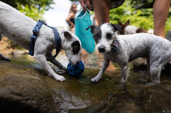 Jméno fotky: fotka 389 / 400