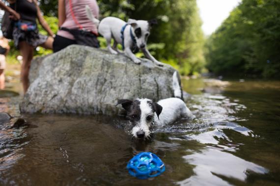 Jméno fotky: fotka 390 / 400