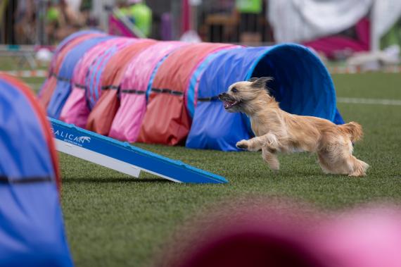 Jméno fotky: fotka 391 / 400