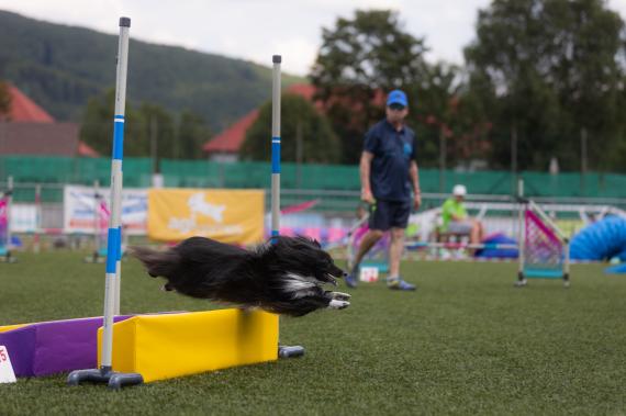 Jméno fotky: fotka 392 / 400