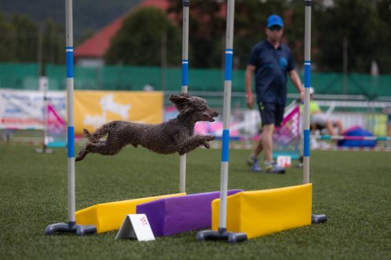 Jméno fotky: fotka 393 / 400