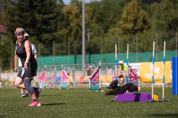 Jméno fotky: fotka 395 / 400