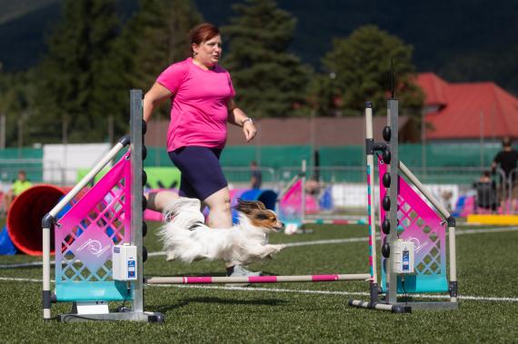 Jméno fotky: fotka 397 / 400