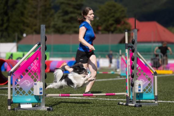 Jméno fotky: fotka 399 / 400