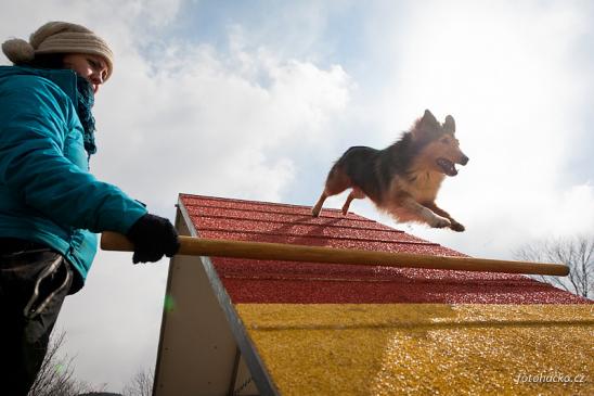 Fotka pro galerii Intenzivní Lůca ve Zdicích