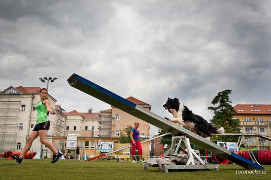 Fotka pro galerii Non-Stop Agility Cup Dobříš 2013