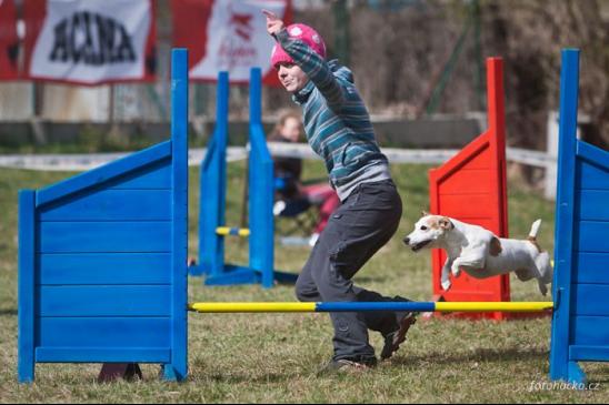 Fotka pro galerii O Budějovickou tlapku